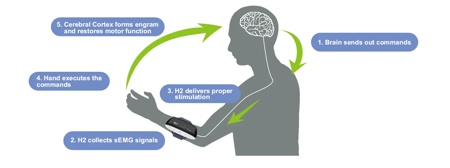 H2 Hand Rehab System XFT